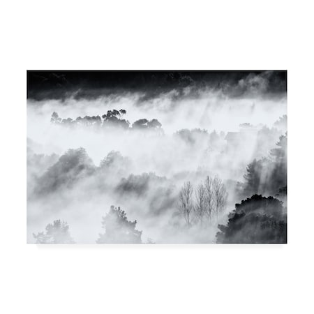 Antonio Carrillo Lopez 'Dark Misty Mountains' Canvas Art,30x47